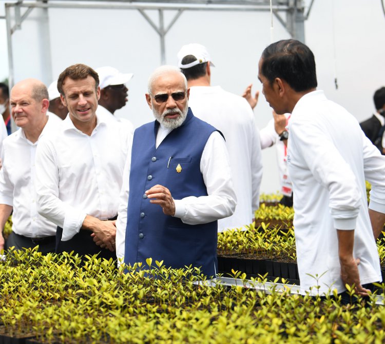 प्रधानमंत्री  नरेन्द्र मोदी ने बाली में जी-20 शिखर सम्मेलन के अवसर पर मैंग्रोव वनों का दौरा किया