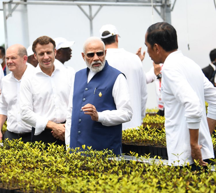 प्रधानमंत्री नरेन्द्र मोदी ने बाली में जी-20 शिखर सम्मेलन के अवसर पर मैंग्रोव वनों का दौरा किया
